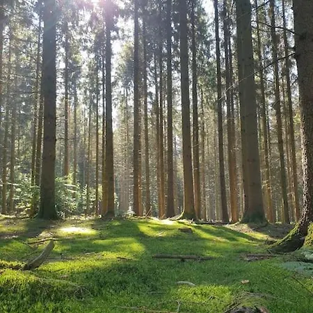 N° 20, En Pleine Nature, Frontalier Dom wakacyjny